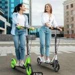 Električni skuter sa 10-inčnim električnim motorom