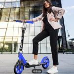Električni skuter sa 10-inčnim električnim motorom
